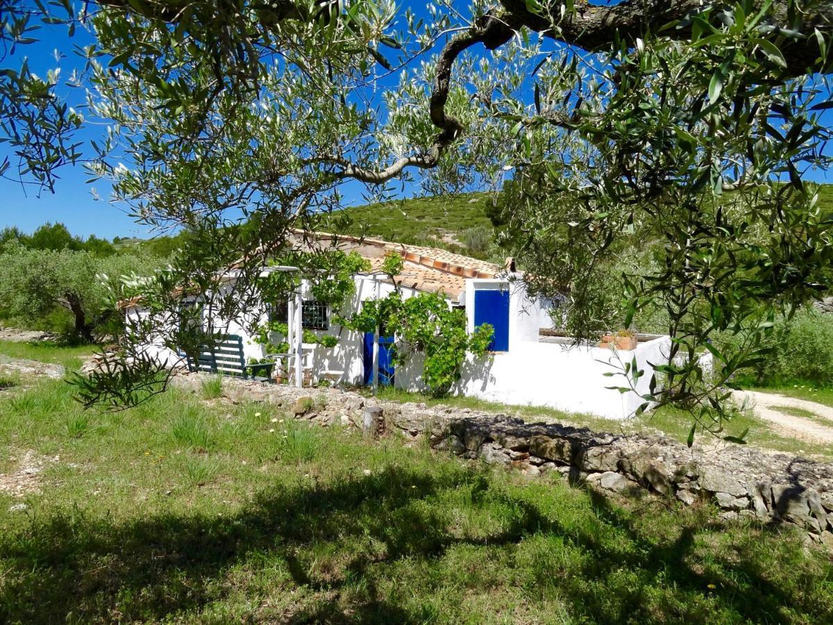 Casita Blanca El Perelló Exterior foto